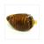 BLINKER DERBI PADDOCK  L.V. CE