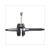 KURBELWELLE PIAGGIO PURE JET 2002/2010 CM