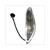 BLINKER VESPA PRIMAVERA KLAR STD R.H.